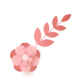 20250425090602103.png 阿薩.png